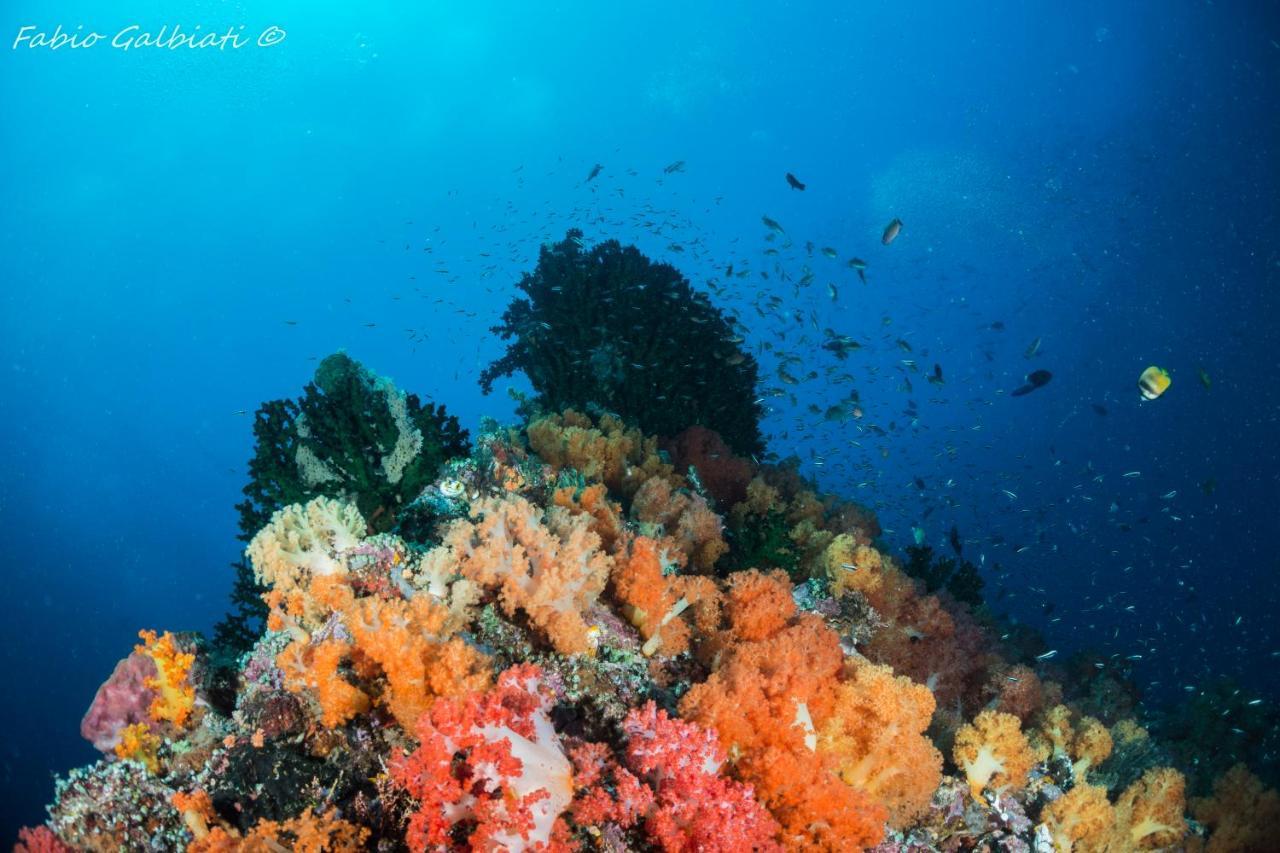 Coral Eye Boutique Resort And Marine Outpost Likupang Εξωτερικό φωτογραφία