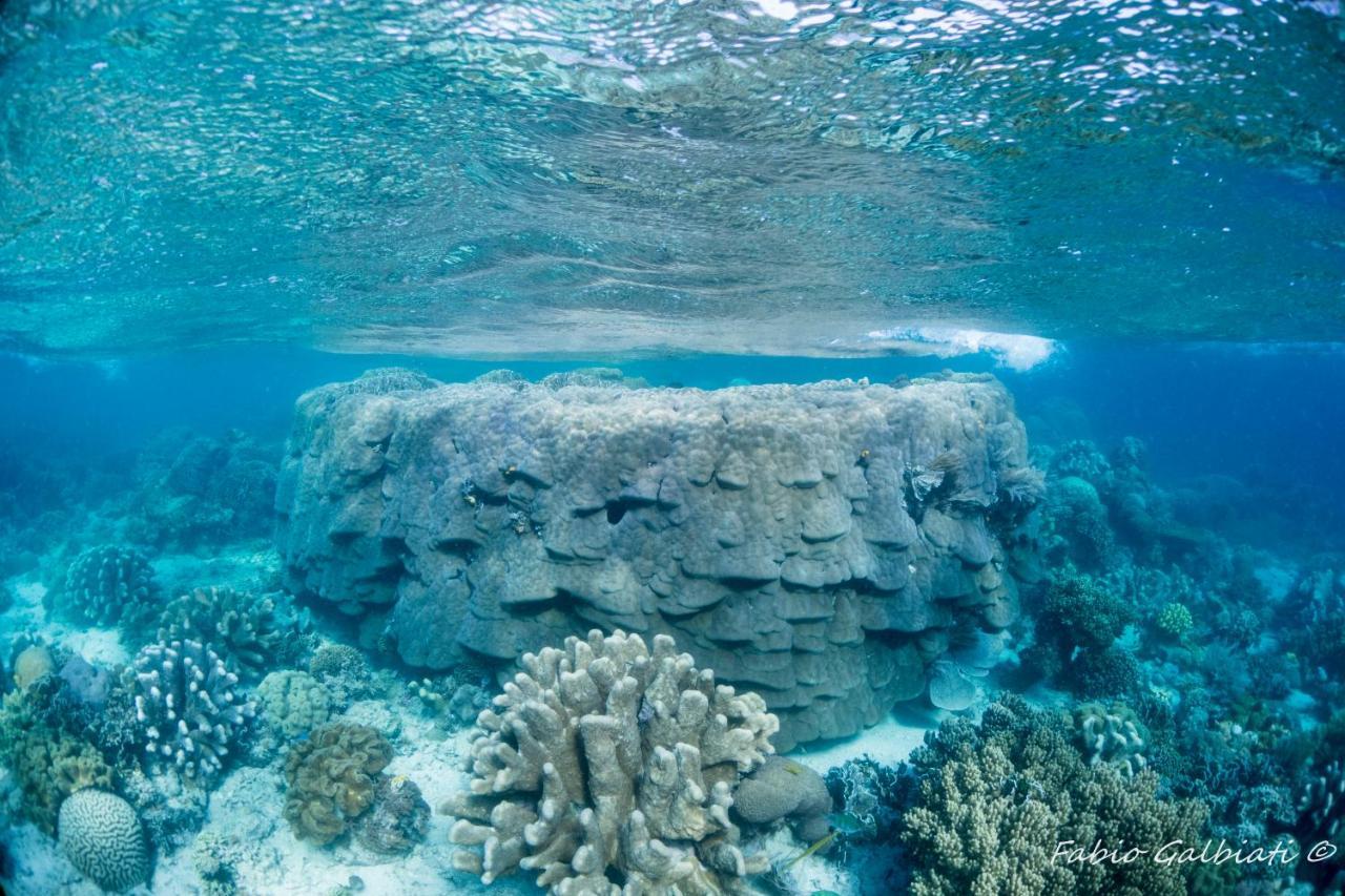 Coral Eye Boutique Resort And Marine Outpost Likupang Εξωτερικό φωτογραφία