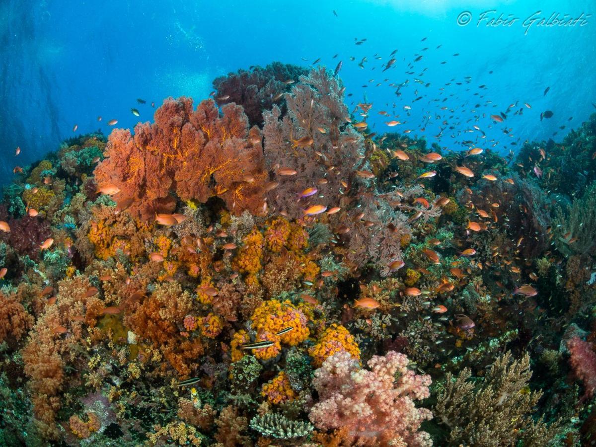 Coral Eye Boutique Resort And Marine Outpost Likupang Εξωτερικό φωτογραφία