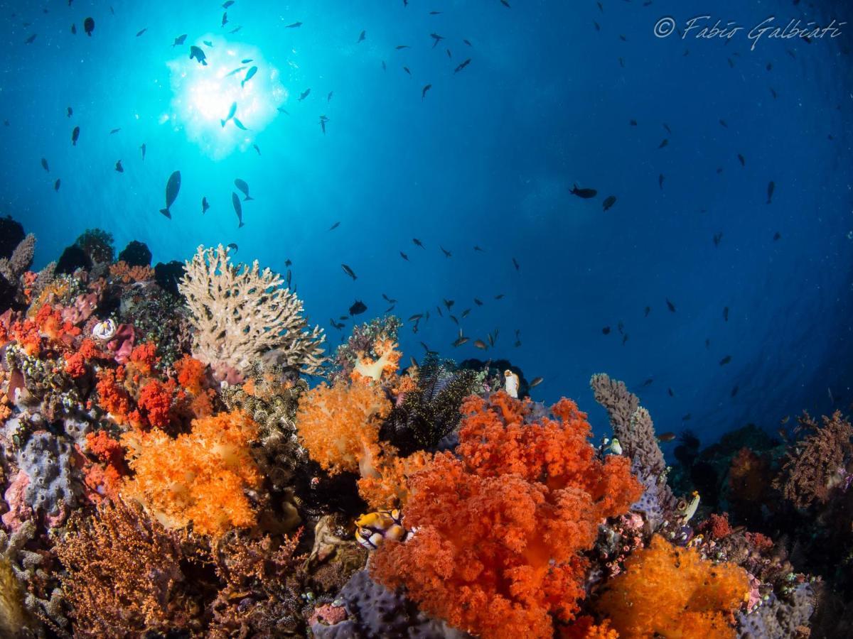 Coral Eye Boutique Resort And Marine Outpost Likupang Εξωτερικό φωτογραφία